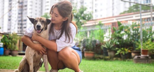 Comprehensive Guide to Pet Care
