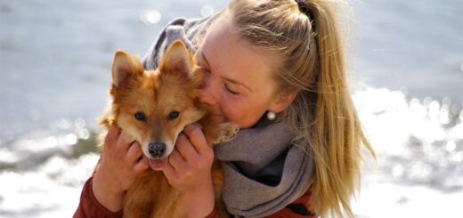 Essential Dog Care Tips for Happy