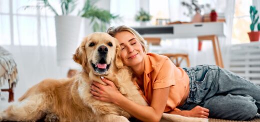 Train Your Dog