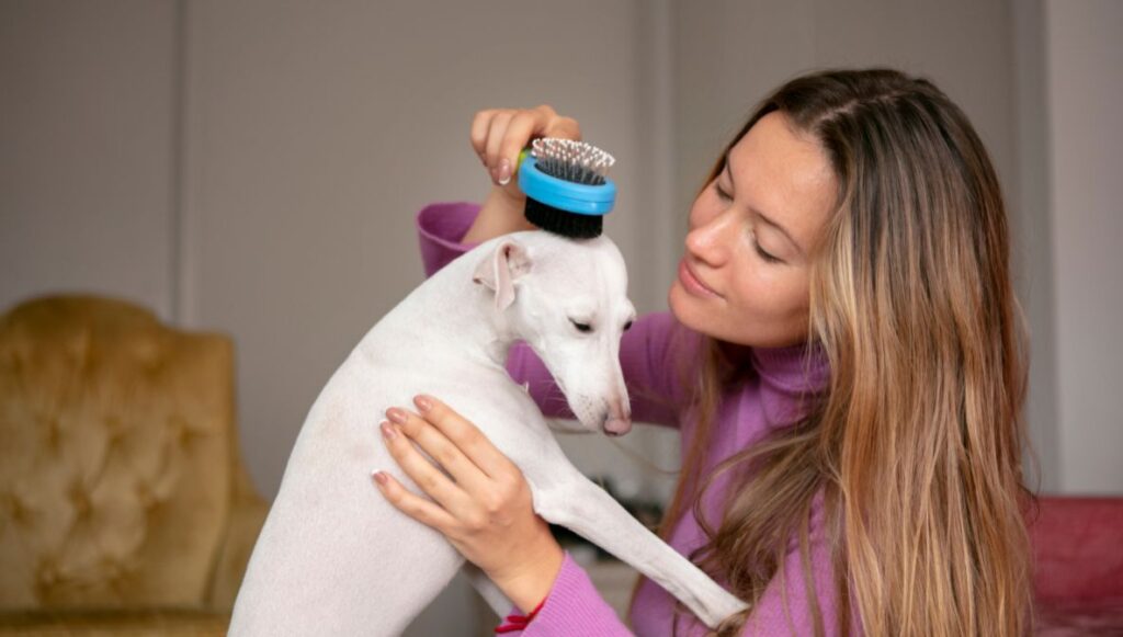 Routine Pet Care Checklist for Happy, Healthy Pets