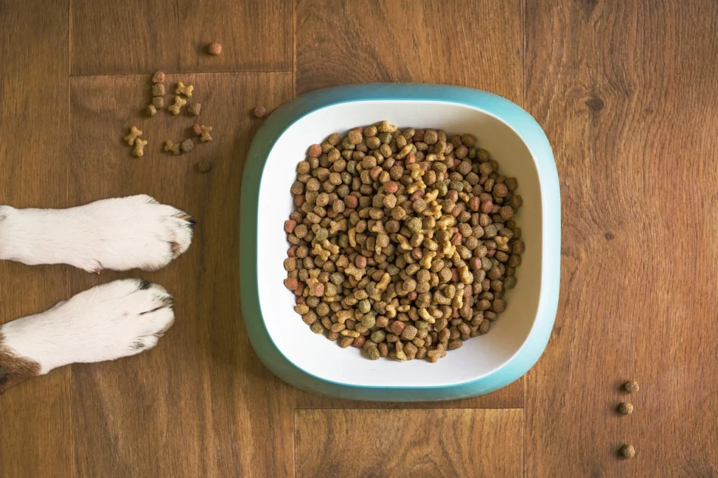top pet care