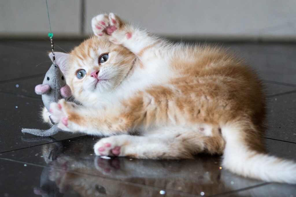 VIP Pet Care Services Guide