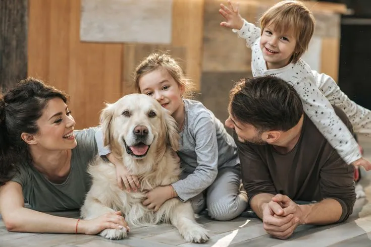 Affectionate Pet Care: Nurturing Your Pet with Love and Attention