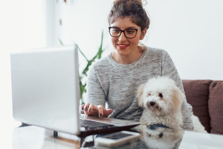 Easy to Take Care of Pets