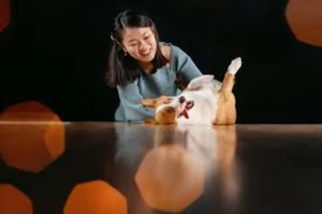 How to Spot Signs of Illness in Pets