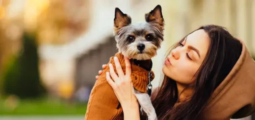 Community Pet Care Hospital