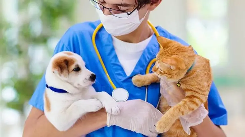 Veterinaries Pet Care: Expert Tips for Healthy Pets