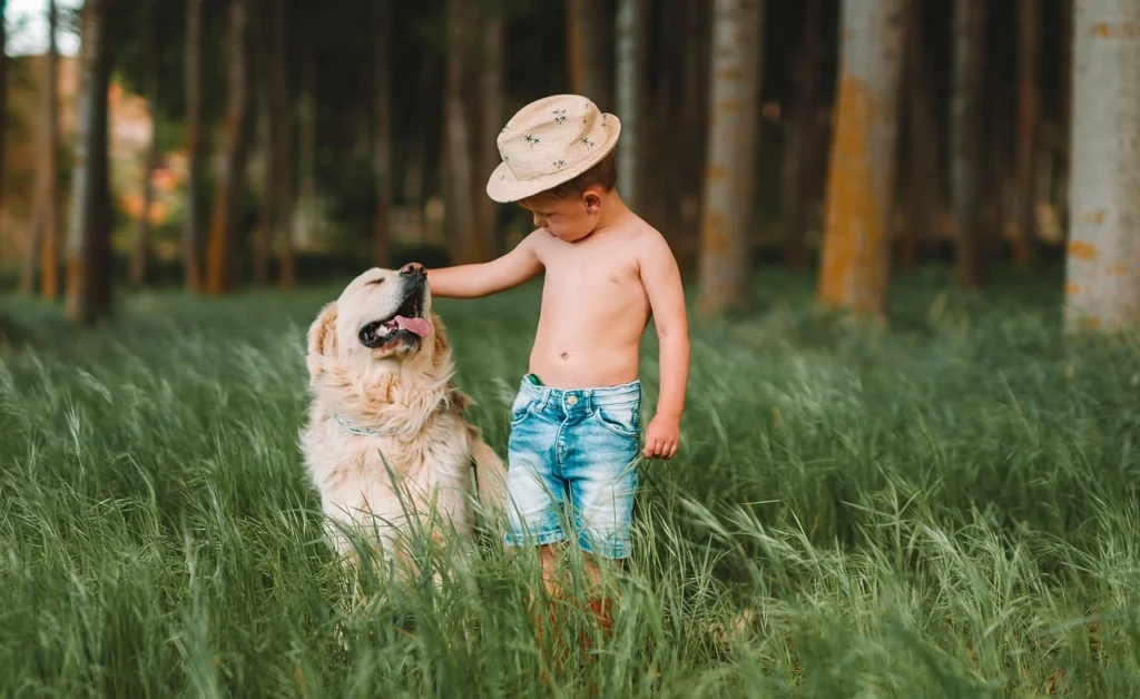 Essential Dog Care Tips for Happy