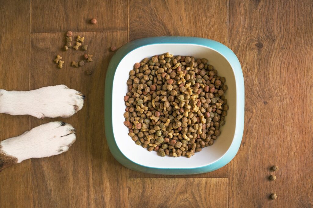 How to Keep Your Pet Happy and Healthy