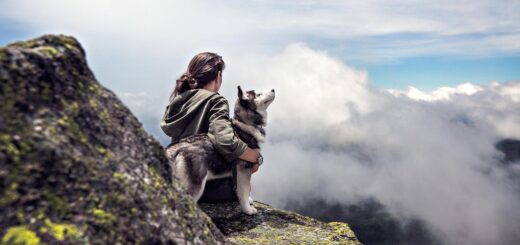 Family Pet Care Tips