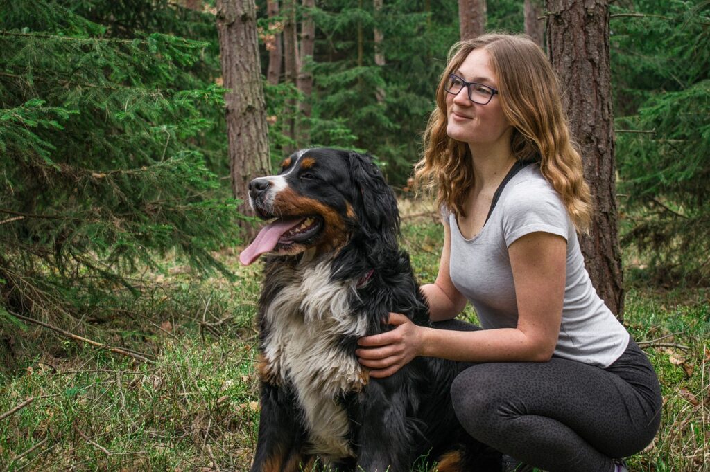 How to Choose a Vet: Key Tips for Pet Owners