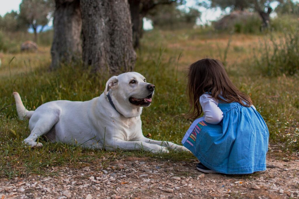 Importance of Vaccinations for Pets