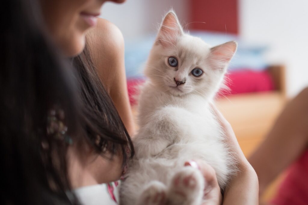 Pet Care Insurance: Everything You Need to Know