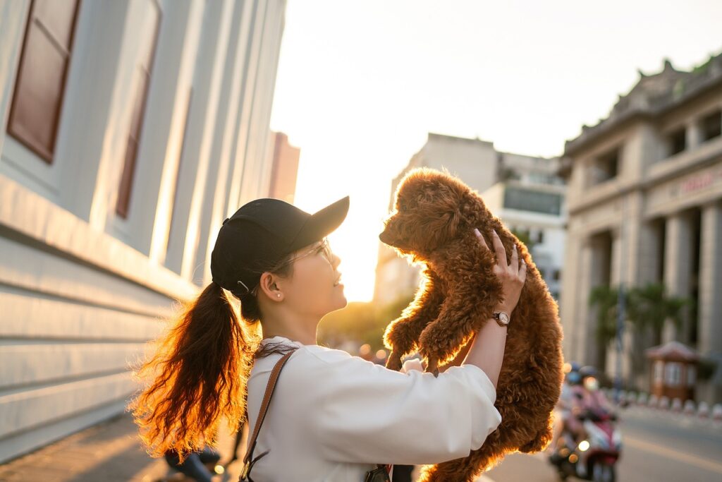 Routine Pet Care Checklist for Happy, Healthy Pets