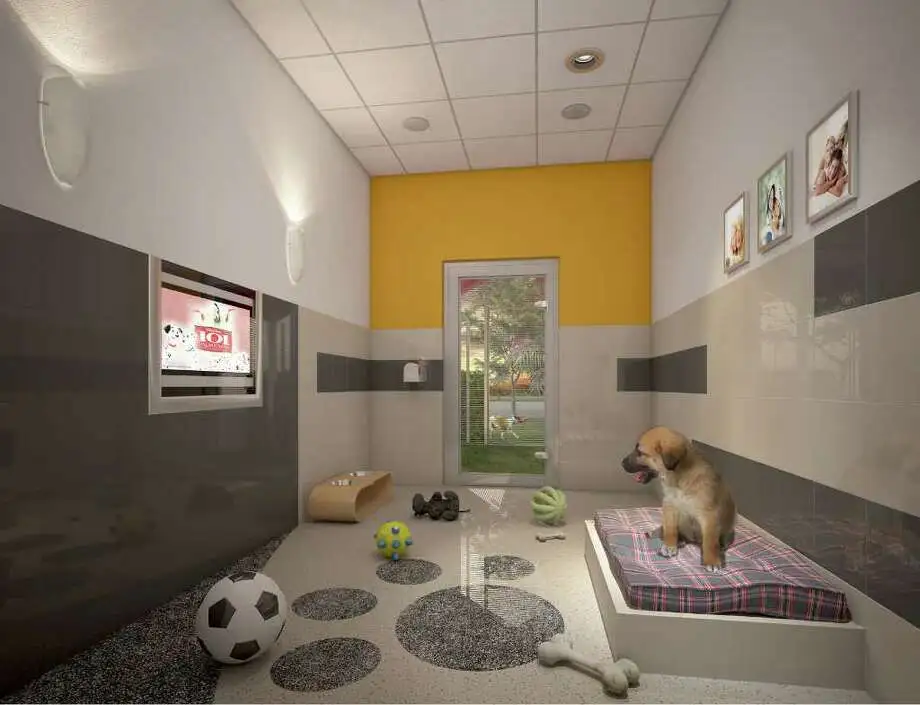 Best Friends Pet Care Disney