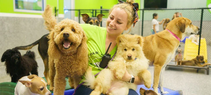 Best Friends Pet Care Disney