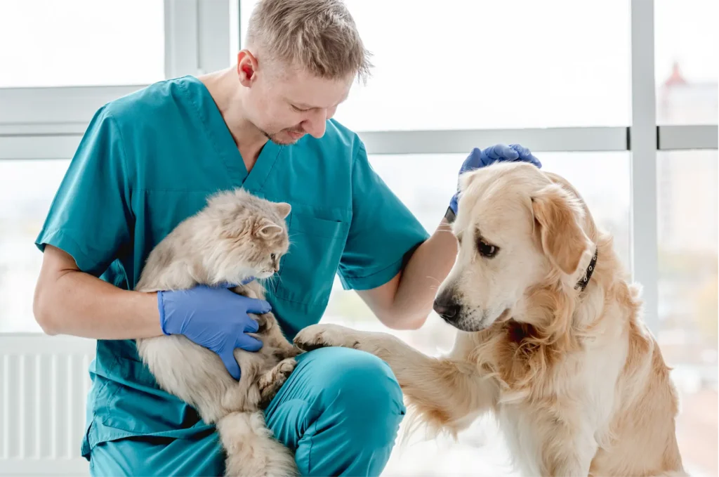 Care A Lot Pet Supply