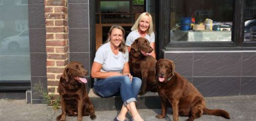 Central Pet Care