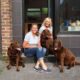 Central Pet Care