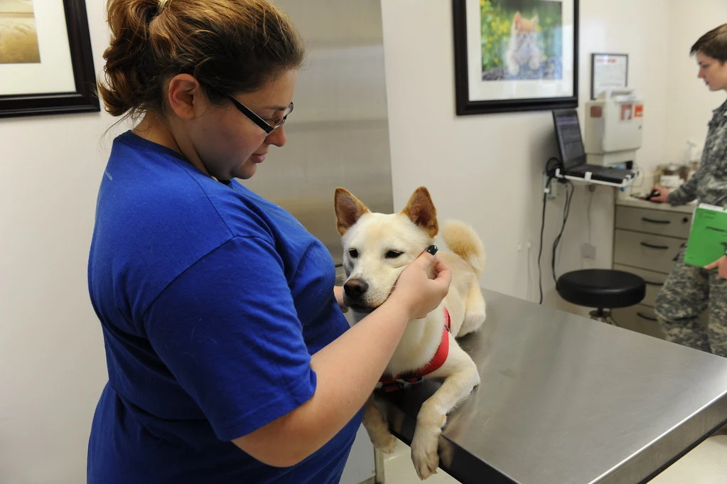 Companion Pet Care