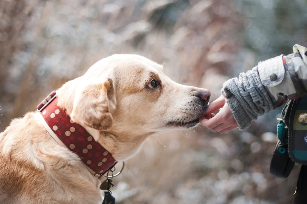 Complete Pet Care Heritage