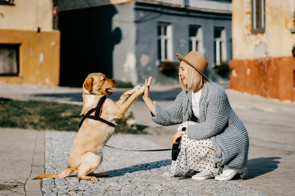 Complete Pet Care Heritage