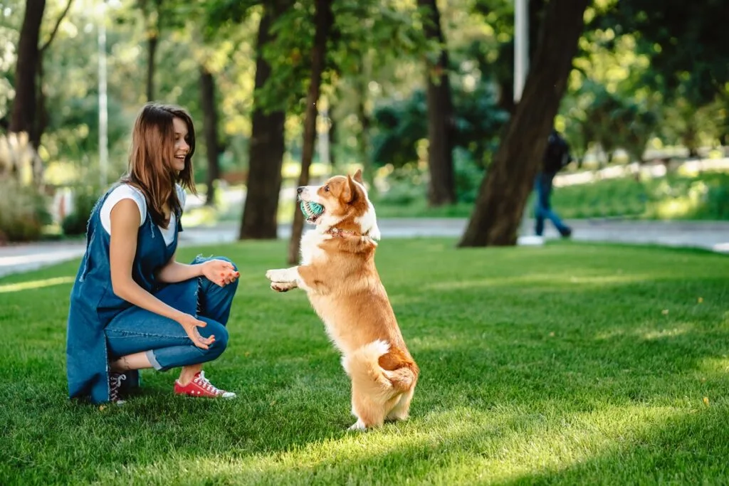 Easy to Care for Pets