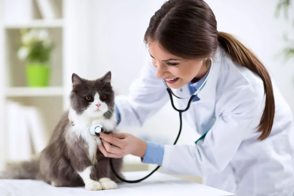Exotic Pet Care