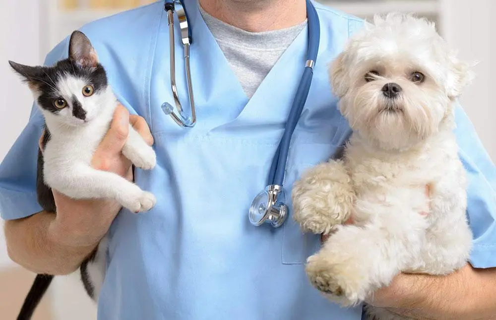 Exotic Pet Care