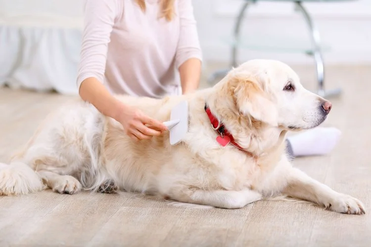 Happy Tails Pet Care