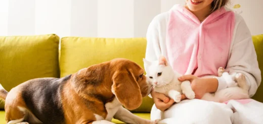 Happy Tails Pet Care