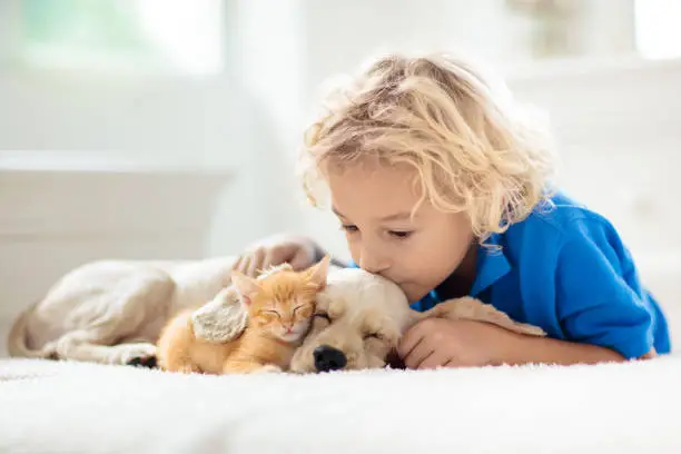 Hill Family Pet Care