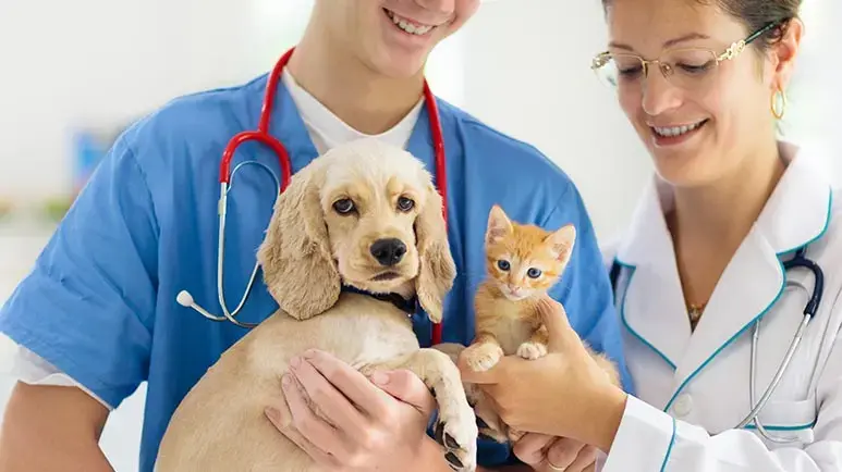 Hill Family Pet Care: Trusted Care for Your Pets