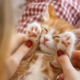 AMPM Ideal Pet Care