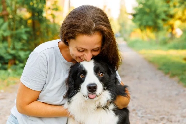 Loyal Pet Care