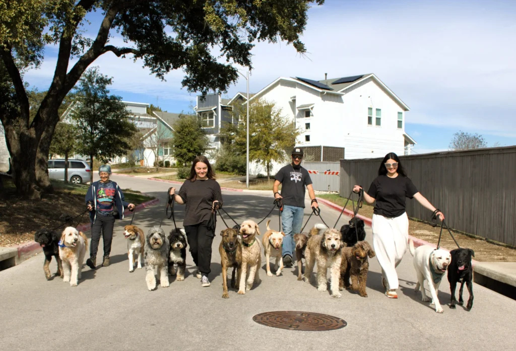 Loyal Pet Care: Building Trust with Tailored Services