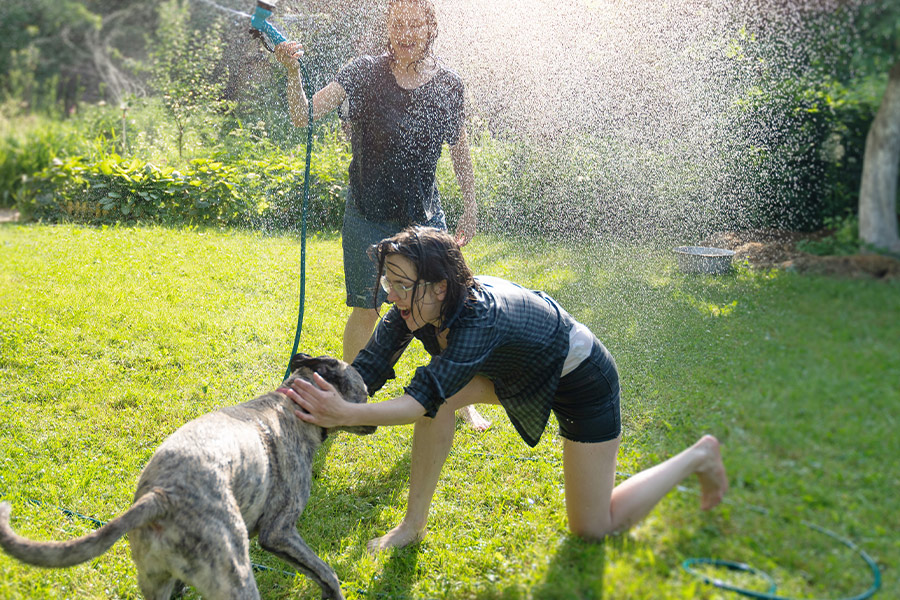 Madison In House Pet Care