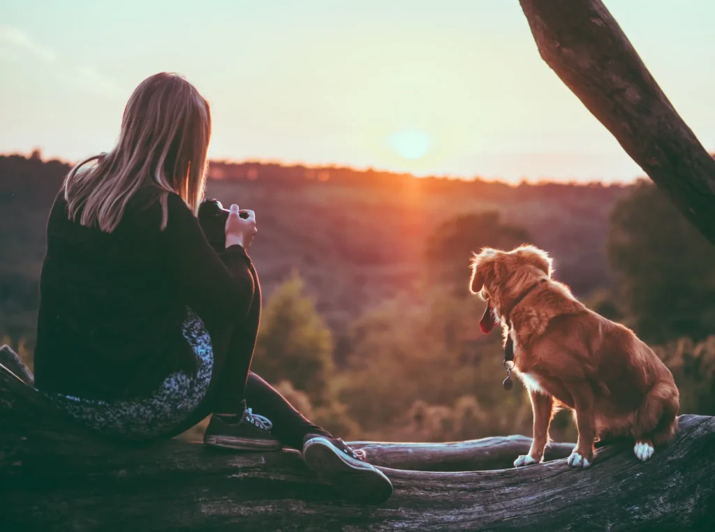 Mountain View Pet Care