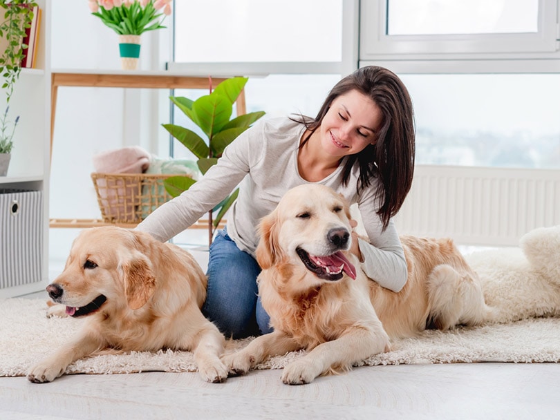 Overnight Pet Care