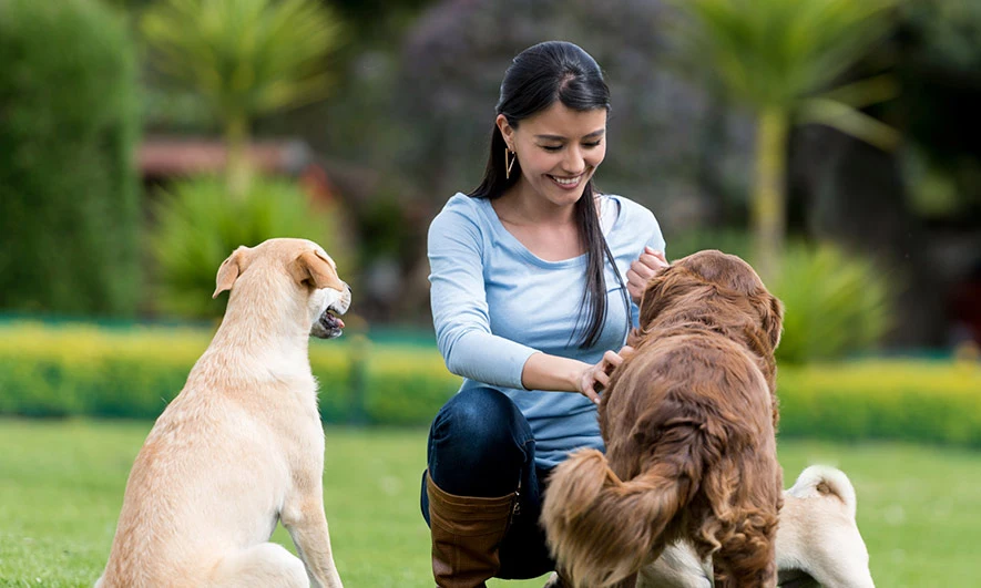 Pet Care Plan That Fits Your Pet’s Lifestyle