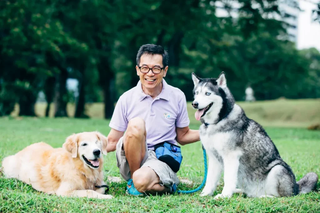 Pet Care Plan That Fits Your Pet’s Lifestyle