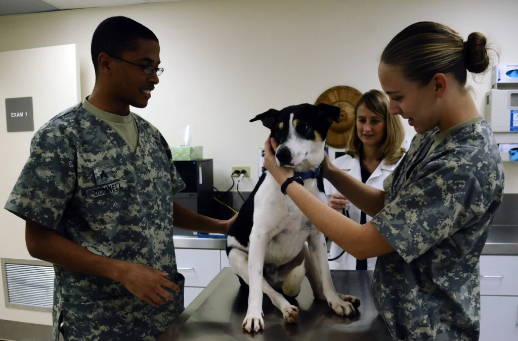 Professional Pet Care