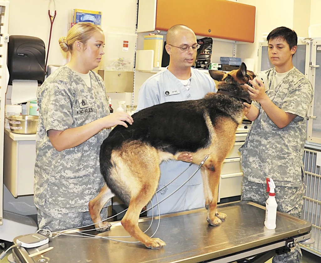 Pet Care Specialist