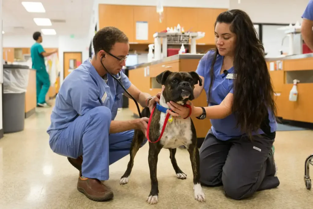 Pet Care Specialist