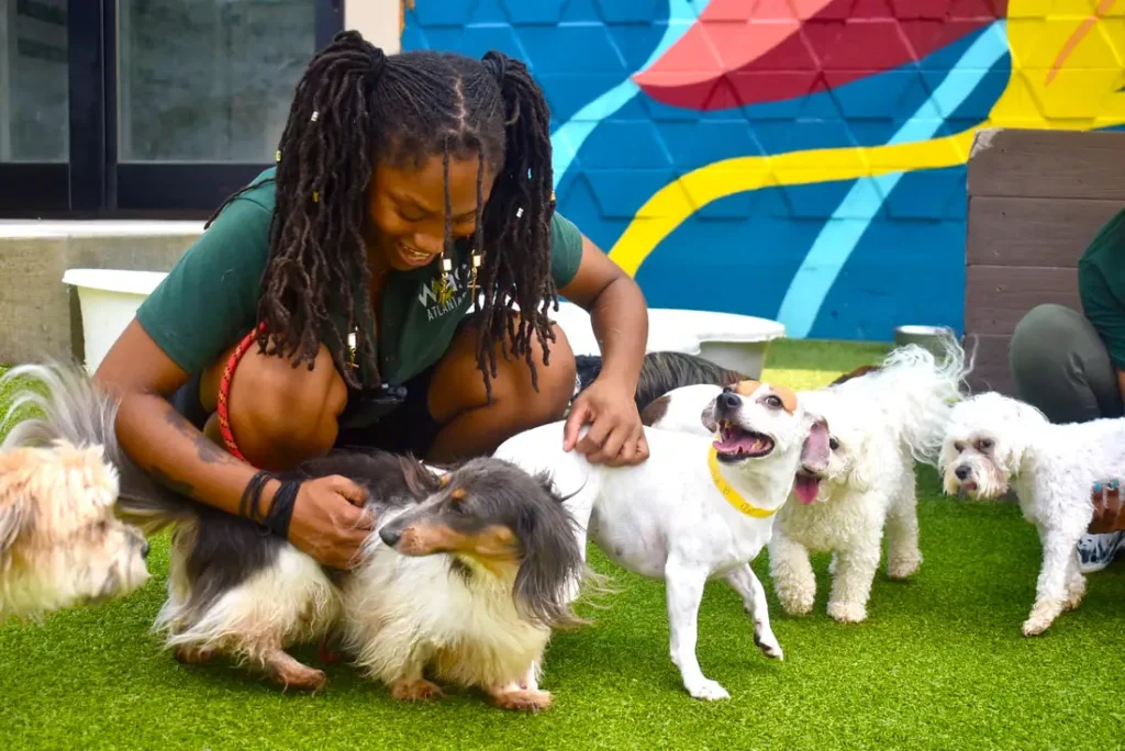 Pet Care Specialist