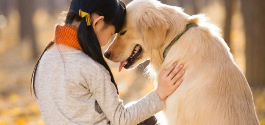 Pet Care While on Vacation