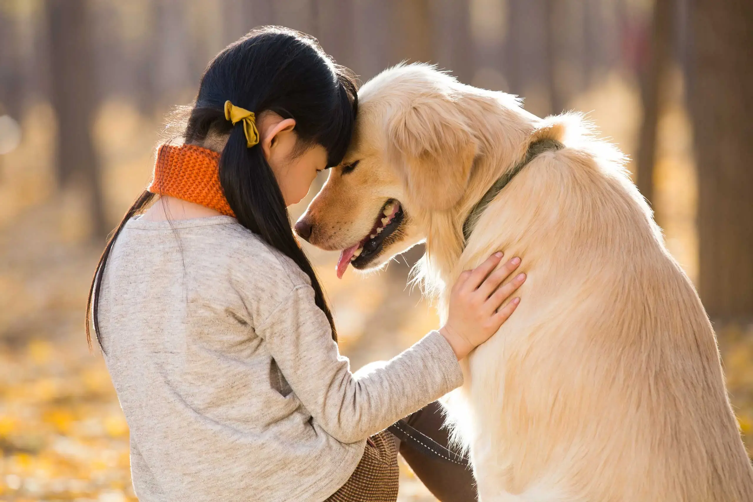 Pet Care While on Vacation