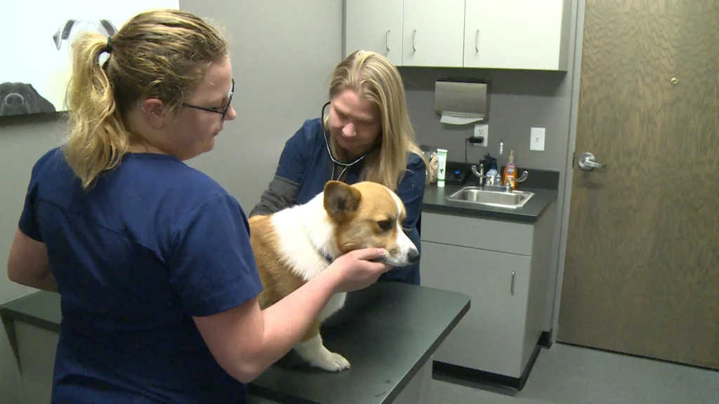 Pet Medic Urgent Care