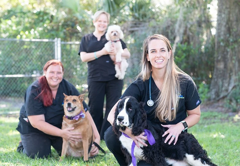 Pet Medic Urgent Care