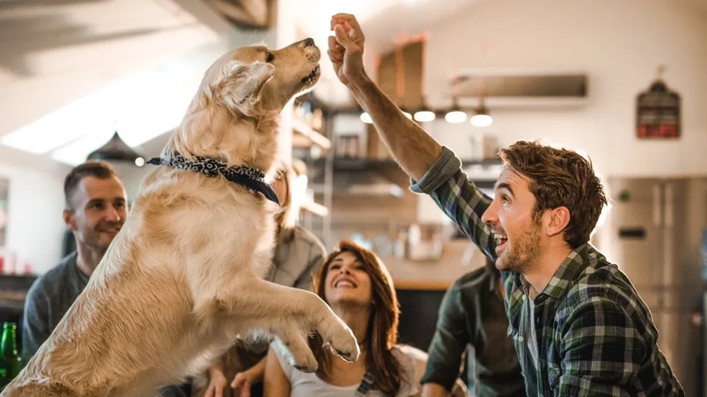 Premier Pet-Care Plan